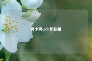 两小碗小米粥热量