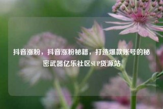 抖音涨粉，抖音涨粉秘籍，打造爆款账号的秘密武器亿乐社区SUP货源站