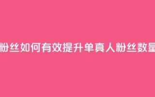 ks单真人粉丝 - 如何有效提升ks单真人粉丝数量？!