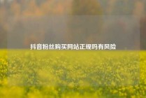 抖音粉丝购买网站正规吗有风险