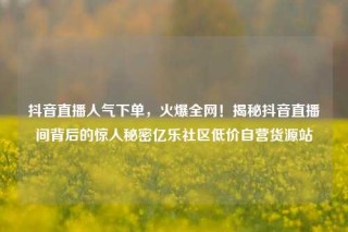 抖音直播人气下单，火爆全网！揭秘抖音直播间背后的惊人秘密亿乐社区低价自营货源站