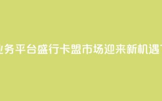虚拟业务平台盛行，卡盟市场迎来新机遇