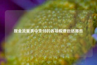 现金流量表中支付的各项税费包括哪些