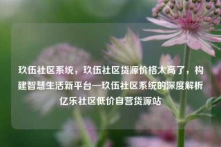 玖伍社区系统，玖伍社区货源价格太高了，构建智慧生活新平台—玖伍社区系统的深度解析亿乐社区低价自营货源站