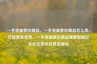 一手货源低价商品，一手货源低价商品怎么卖，打造独家优势，一手货源低价商品策略指南亿乐社区低价自营货源站