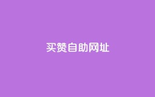 买赞自助网址,Ks24小时秒单业务平台 - 拼多多助力神器软件 - 2024砍一刀助力微信群