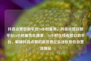 抖音点赞自助平台24小时服务，抖音点赞自助平台24小时服务在哪里，24小时在线点赞自助平台，解锁抖音点赞的新世界亿乐社区低价自营货源站