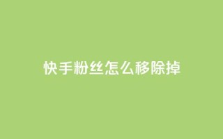 快手粉丝怎么移除掉,24小时自助下单云小店 - 快手真人点赞业务微信支付 - QQ资料卡怎么点赞