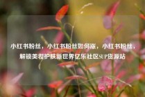 小红书粉丝，小红书粉丝如何涨，小红书粉丝，解锁美妆护肤新世界亿乐社区SUP货源站