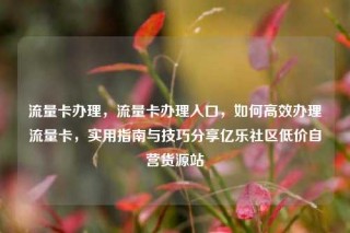 流量卡办理，流量卡办理入口，如何高效办理流量卡，实用指南与技巧分享亿乐社区低价自营货源站