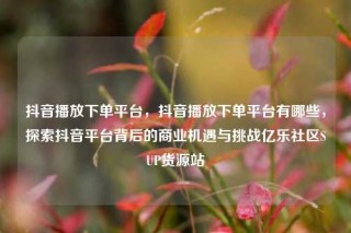 抖音播放下单平台，抖音播放下单平台有哪些，探索抖音平台背后的商业机遇与挑战亿乐社区SUP货源站