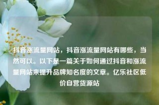 抖音涨流量网站，抖音涨流量网站有哪些，当然可以。以下是一篇关于如何通过抖音和涨流量网站来提升品牌知名度的文章。亿乐社区低价自营货源站