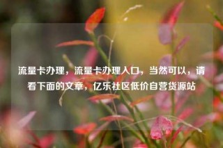 流量卡办理，流量卡办理入口，当然可以，请看下面的文章，亿乐社区低价自营货源站