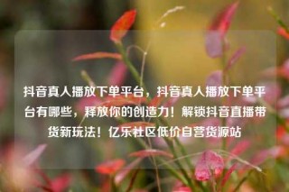 抖音真人播放下单平台，抖音真人播放下单平台有哪些，释放你的创造力！解锁抖音直播带货新玩法！亿乐社区低价自营货源站
