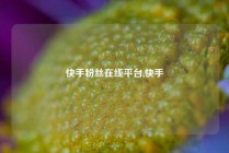 快手粉丝在线平台,快手