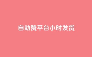 自助赞平台24小时发货,快手业务区自助 - 一元买500个赞 - ks便宜24小时业务