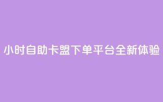 24小时自助卡盟下单平台全新体验