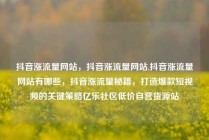 抖音涨流量网站，抖音涨流量网站,抖音涨流量网站有哪些，抖音涨流量秘籍，打造爆款短视频的关键策略亿乐社区低价自营货源站