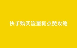 快手购买流量和点赞攻略
