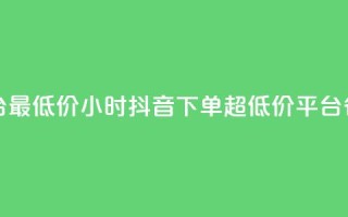 24小时抖音下单平台最低价(24小时抖音下单，超低价平台，省钱又省时)
