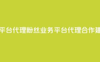 粉丝业务平台代理 - 粉丝业务平台代理合作建议!