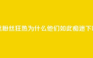 ks粉丝 - KS粉丝狂热：为什么他们如此痴迷？!