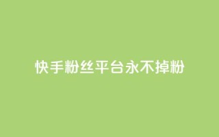 快手粉丝平台+永不掉粉,评论下单平台 - qq24小时全自助下单网站 - 抖音24小时挂机互粉语音