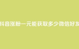 抖音涨粉一元能获取多少微信好友