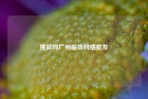 搜款网广州服饰网络批发