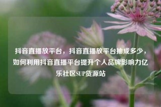 抖音直播放平台，抖音直播放平台抽成多少，如何利用抖音直播平台提升个人品牌影响力亿乐社区SUP货源站