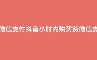点赞24小时下单微信支付抖音 - 24小时内购买赞微信支付抖音!