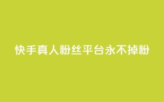 快手真人粉丝平台 永不掉粉,快手在线下单平台全网最低价 - 抖音刷1000粉入口 - 全网最便宜卡盟