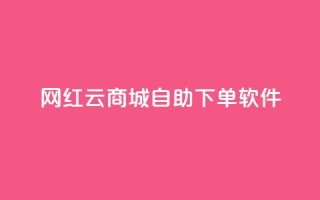 网红云商城自助下单软件,王者荣耀快手账号买卖 - 卡盟24小时自动发卡平台 - 抖音如何买500点赞量