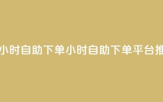 dy下单平台 24小时自助下单(24小时自助下单平台推荐)