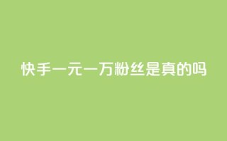 快手一元一万粉丝是真的吗,抖音一元涨粉是真的吗 - 抖音增加账号 - 老八秒赞网