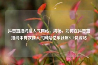 抖音直播间挂人气网站，揭秘，如何在抖音直播间中有效挂人气网站亿乐社区SUP货源站
