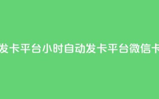 微信卡盟24小时自动发卡平台 - 24小时自动发卡平台微信卡盟优质服务!