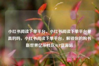 小红书阅读下单平台，小红书阅读下单平台是真的吗，小红书阅读下单平台，解锁你的购书新世界亿乐社区SUP货源站