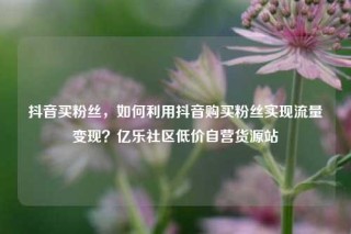 抖音买粉丝，如何利用抖音购买粉丝实现流量变现？亿乐社区低价自营货源站