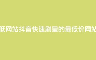 抖音秒刷最低网站 - 抖音快速刷量的最低价网站推荐~