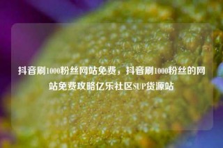 抖音刷1000粉丝网站免费，抖音刷1000粉丝的网站免费攻略亿乐社区SUP货源站