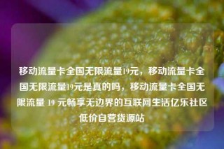移动流量卡全国无限流量19元，移动流量卡全国无限流量19元是真的吗，移动流量卡全国无限流量 19 元畅享无边界的互联网生活亿乐社区低价自营货源站