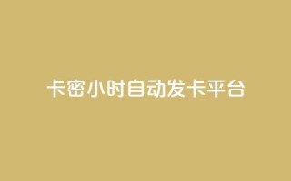 卡密24小时自动发卡平台 - 24小时自动发卡平台，全新卡密服务，快速便捷！~