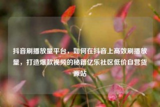 抖音刷播放量平台，如何在抖音上高效刷播放量，打造爆款视频的秘籍亿乐社区低价自营货源站