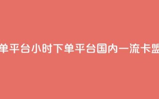卡盟24小时下单平台QQ - 24小时下单平台 - 国内一流QQ卡盟服务!