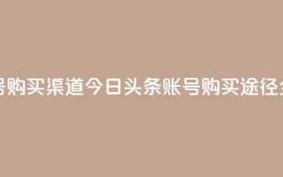 今日头条账号购买渠道 - 今日头条账号购买途径全解析!
