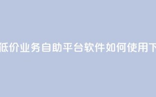 快手低价业务自助平台软件如何使用