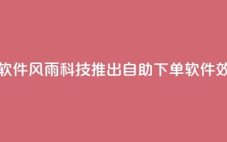 风雨科技自助下单软件 - 风雨科技推出自助下单软件，效率提升不止！~