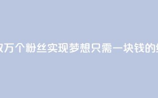 1块1万粉 - 如何获取1万个粉丝：实现梦想只需一块钱的绝佳策略~