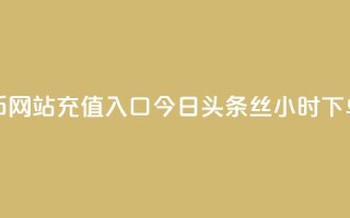 抖音抖币网站充值入口 - 今日头条丝24小时下单